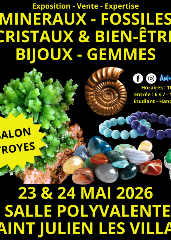 2. Troyes Mineralien- und Fossilienmesse