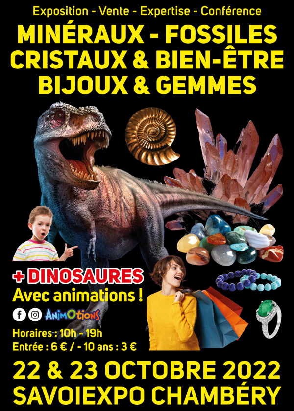 Fossil Minerals Crystals & Well-Being Jewellery and Gems Fair und Dinosaurier-Ausstellung