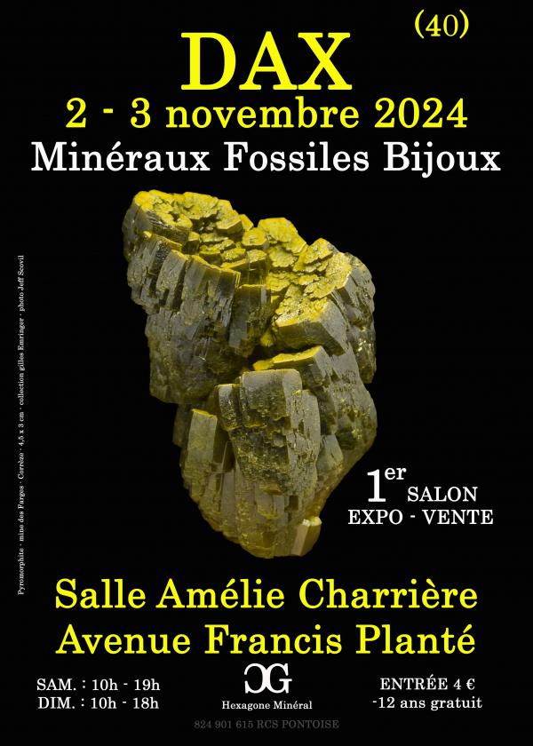 1. DAX-SCHMUCK-AUSSTELLUNG FÜR FOSSILE MINERALIEN