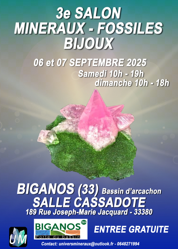 Ausstellung von Mineralien, Fossilien und Designerschmuck.