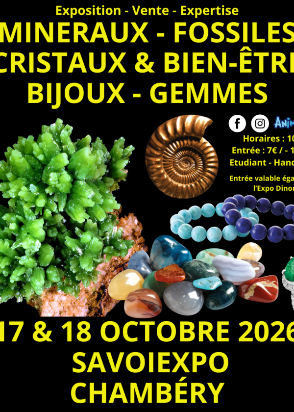 7. Mineralien-, Fossilien- und Kristallmesse