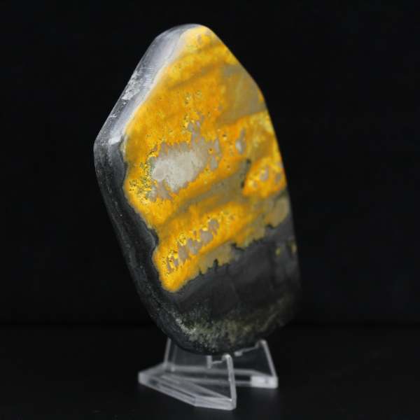 Bumblebee Polished Indonesia Kollektion