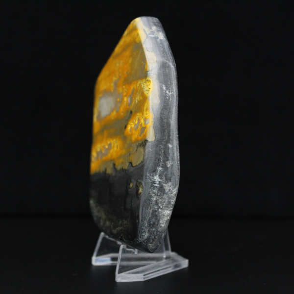 Bumblebee Polished Indonesia Kollektion