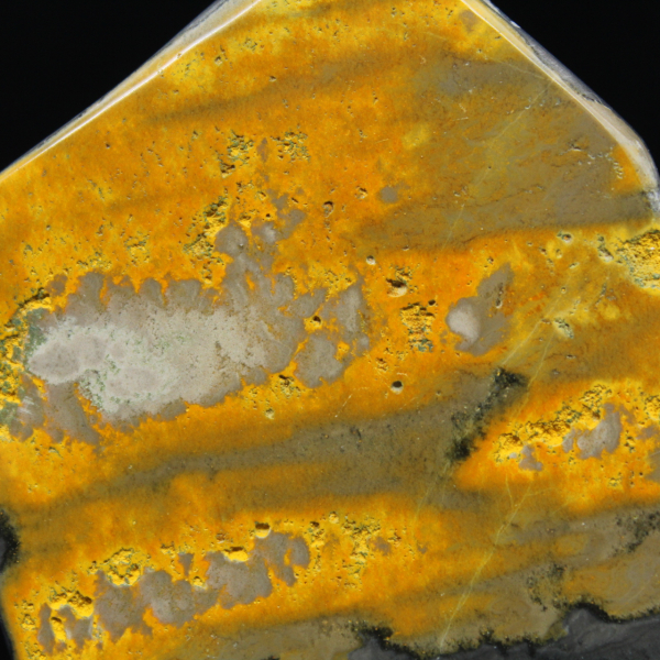 Bumblebee Polished Indonesia Kollektion