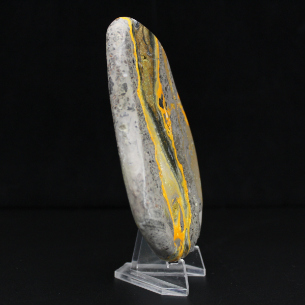 Poliertes Exemplar des Hummeljaspis aus der wissenschaftlichen Sammlung