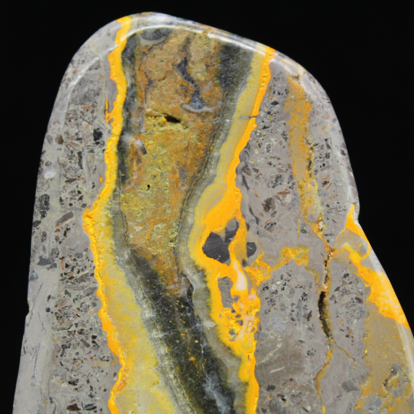 Poliertes Exemplar des Hummeljaspis aus der wissenschaftlichen Sammlung