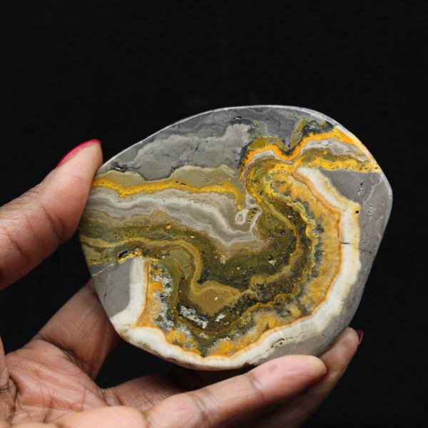 Polierte Jaspis-Hummel-Ornament, Indonesien, selten