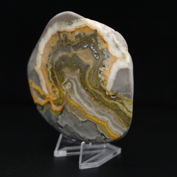 Polierte Jaspis-Hummel-Ornament, Indonesien, selten