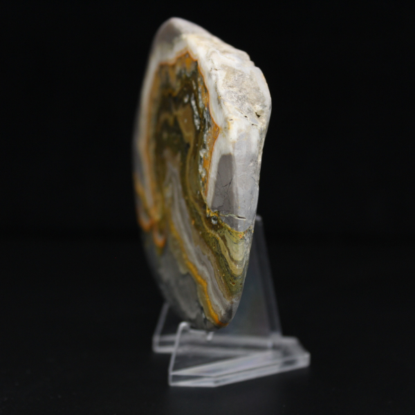 Polierte Jaspis-Hummel-Ornament, Indonesien, selten