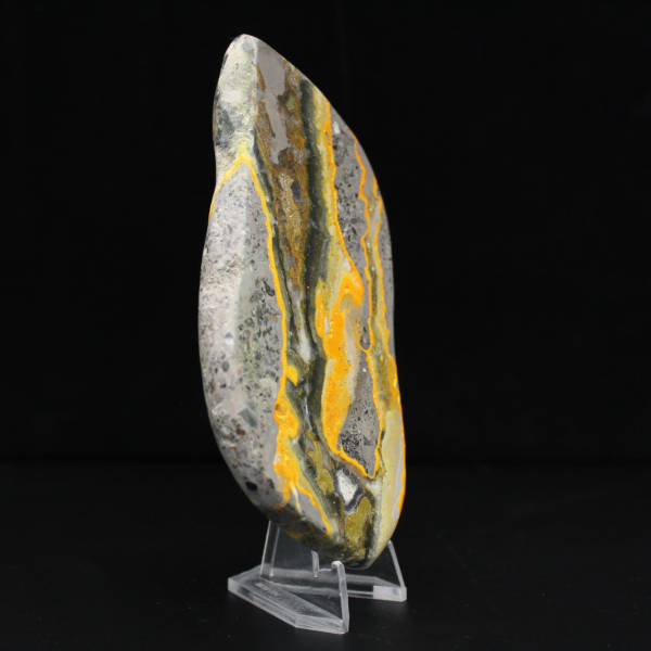 Polierter Hummeljaspis, seltenes Exemplar aus Indonesien