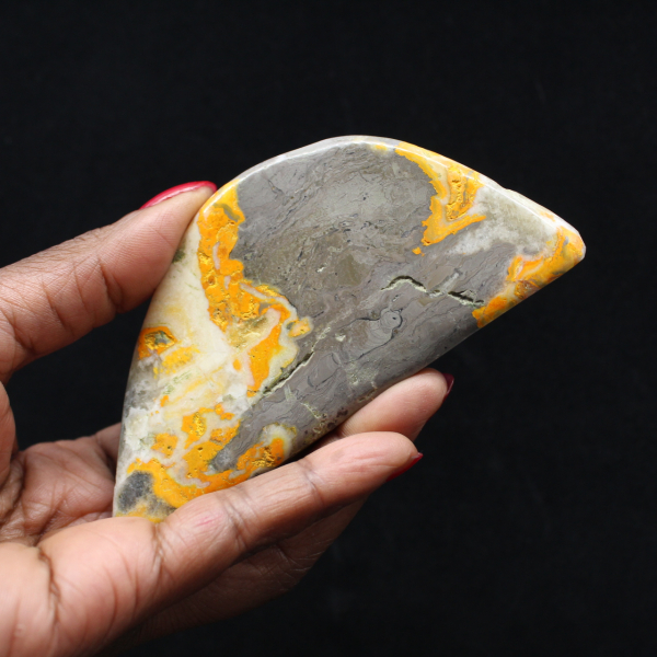 Kleine polierte Jaspis-Hummel-Kollektionsdekoration