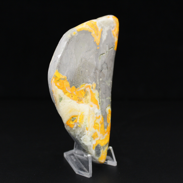 Kleine polierte Jaspis-Hummel-Kollektionsdekoration