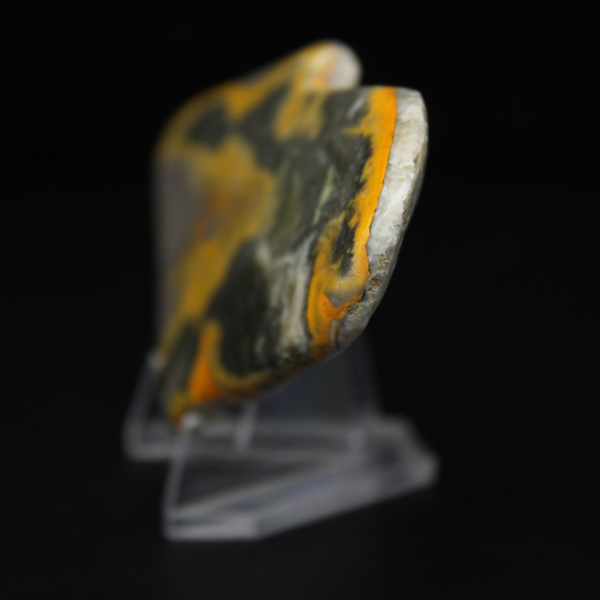 Polierte Jasper Bumblebee Mikromünze