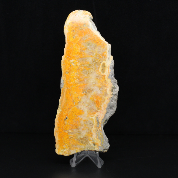 Plakette aus Hummeljaspis aus Indonesien