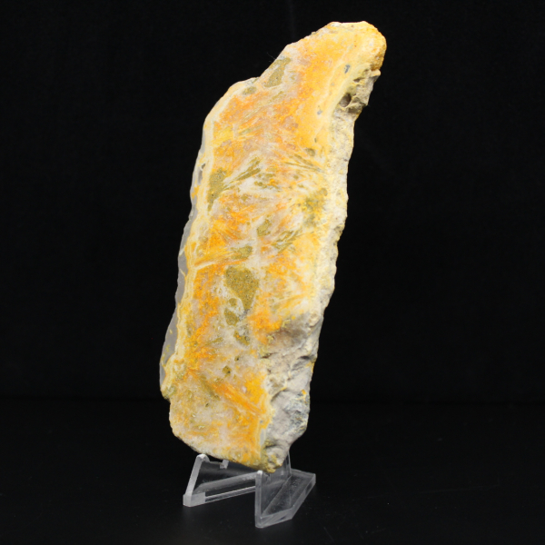 Poliertes Exemplar aus vulkanischem Hummeljaspis