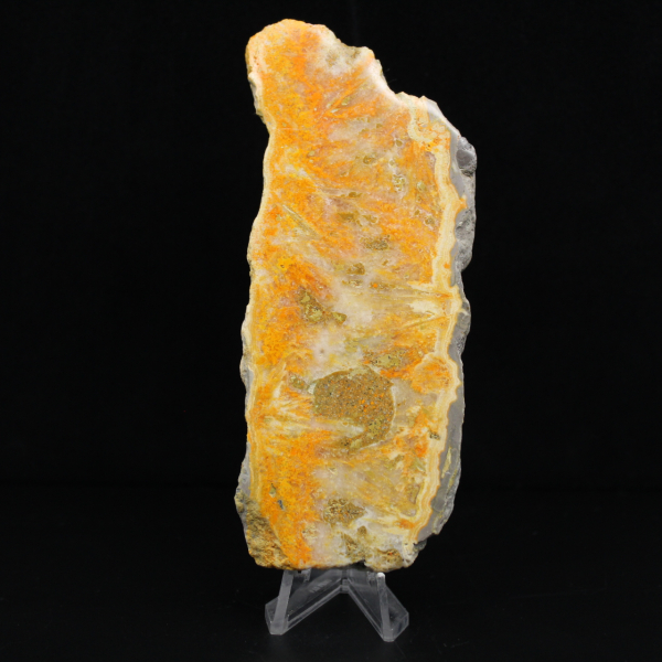 Poliertes Exemplar aus vulkanischem Hummeljaspis