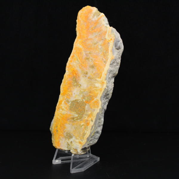 Poliertes Exemplar aus vulkanischem Hummeljaspis