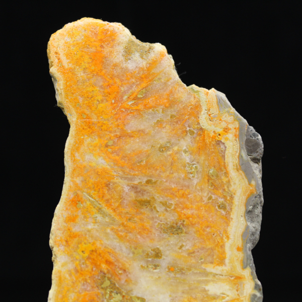 Poliertes Exemplar aus vulkanischem Hummeljaspis