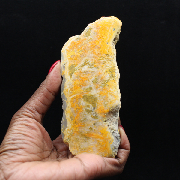 Poliertes Exemplar aus vulkanischem Hummeljaspis