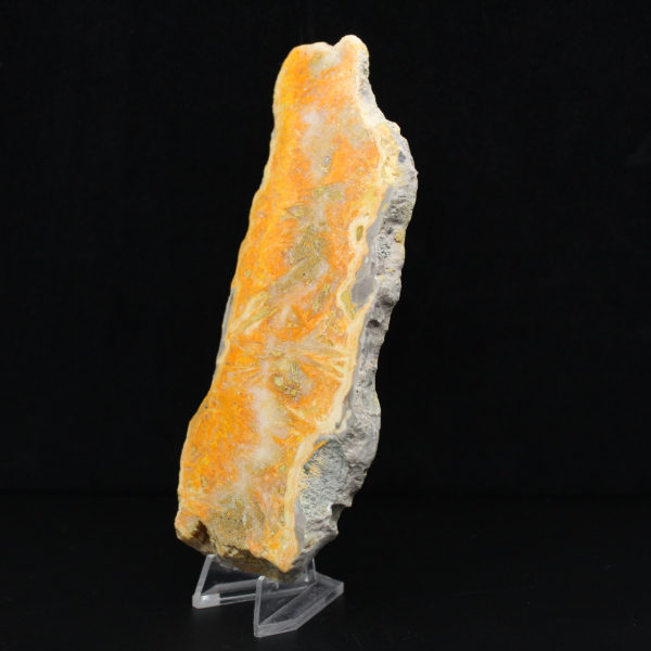 Jaspisscheibe „Bumblebee“ – Sammlerqualität