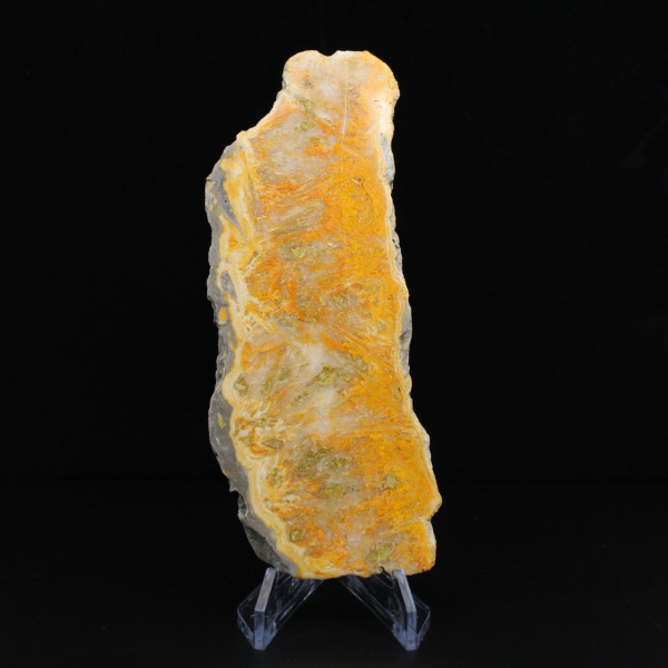 Jaspisscheibe „Bumblebee“ – Sammlerqualität