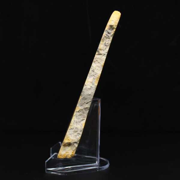 Jaspisscheibe „Bumblebee“ – Sammlerqualität