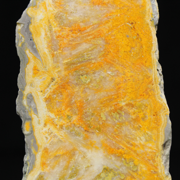 Jaspisscheibe „Bumblebee“ – Sammlerqualität