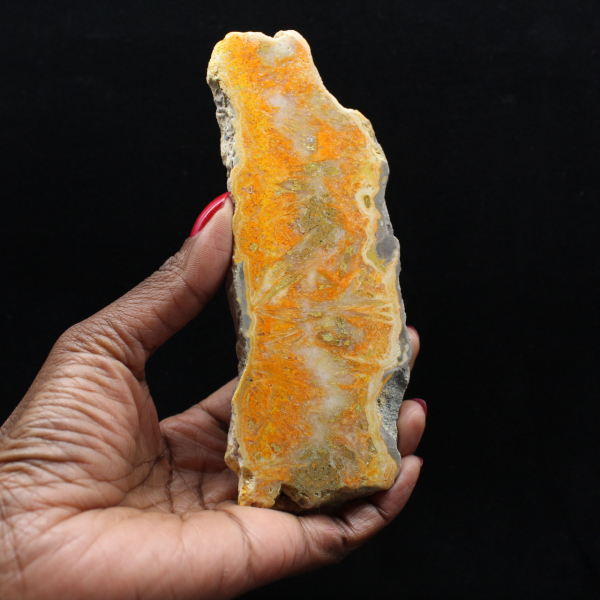 Jaspisscheibe „Bumblebee“ – Sammlerqualität