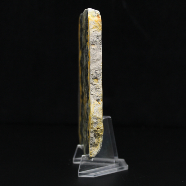 Polierte dünne Platte aus Hummeljaspis