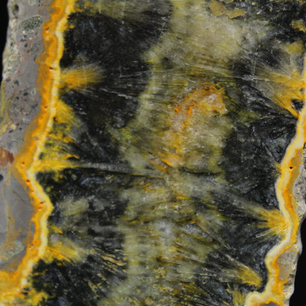 Kleines, geschnittenes Exemplar einer Jaspis-Hummel