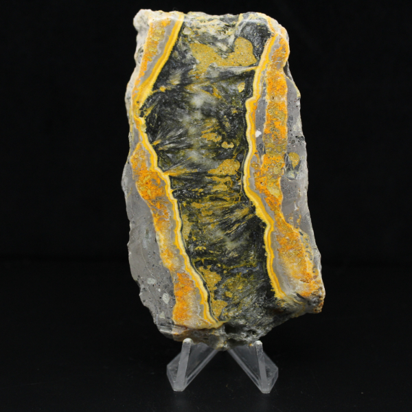 Dicke Scheibe polierten Hummeljaspis