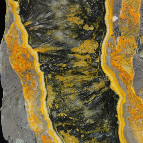 Dicke Scheibe polierten Hummeljaspis