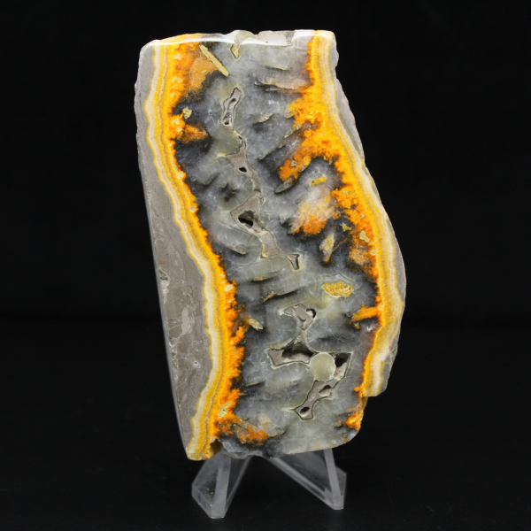 Robuste Scheibe indonesischen Hummeljaspis.