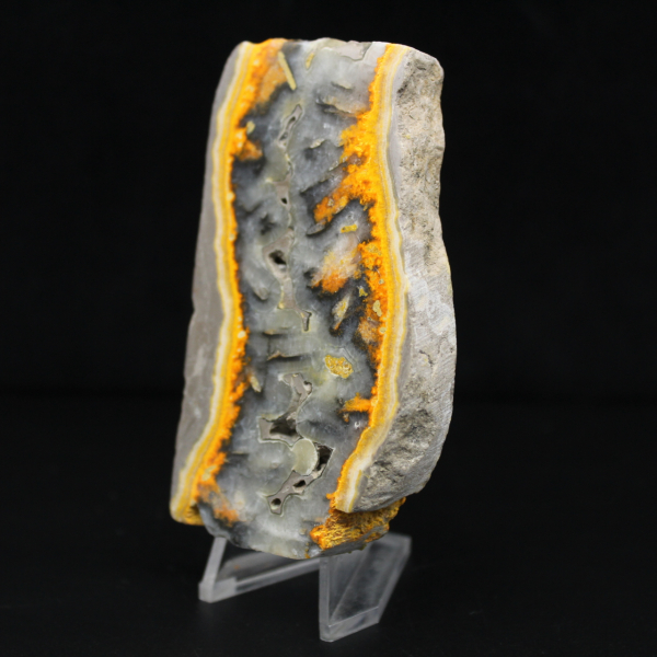 Robuste Scheibe indonesischen Hummeljaspis.