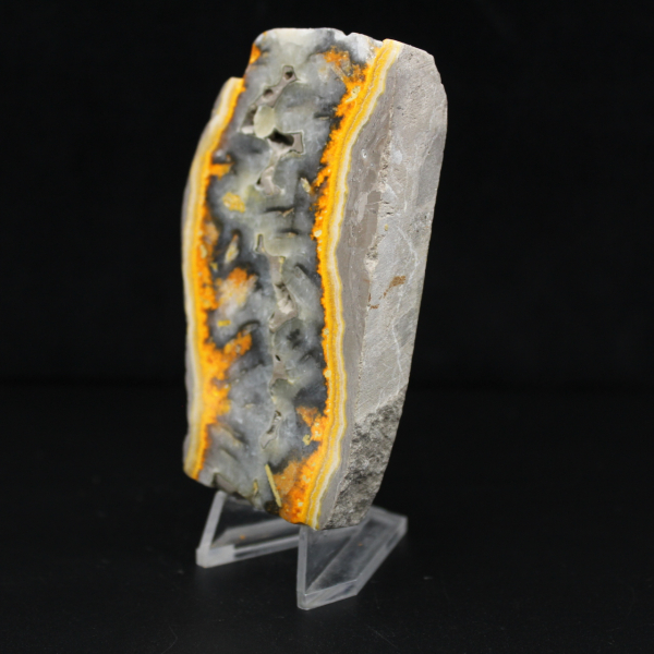 Robuste Scheibe indonesischen Hummeljaspis.