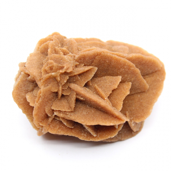 Marokkanische Wüstenrosenformation: Sammlergips