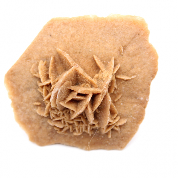 Gipsrosette aus Marokko: Naturkristall aus der Sahara