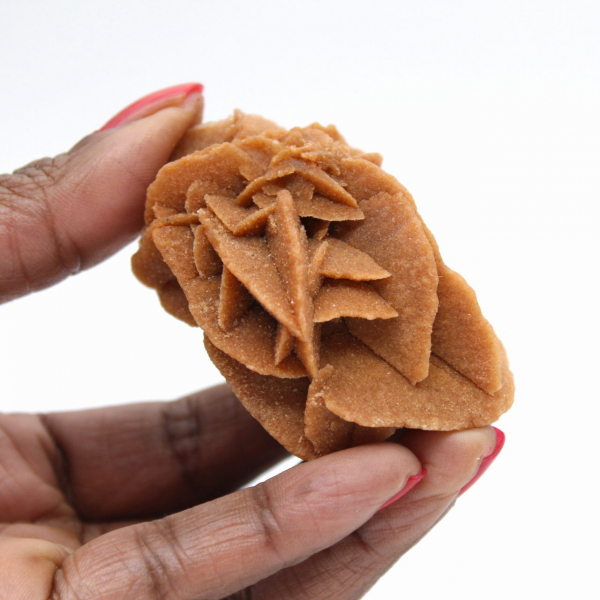 Marokkanische Wüstenrosenformation: Sammlergips