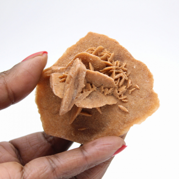 Gipsrosette aus Marokko: Naturkristall aus der Sahara