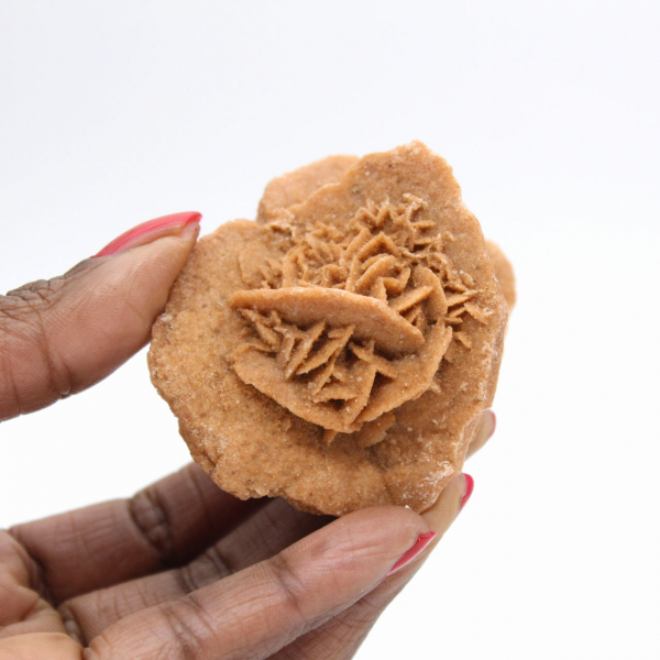 Marokkanische Wüstenrose: ein kristalliner Gipsstrauß