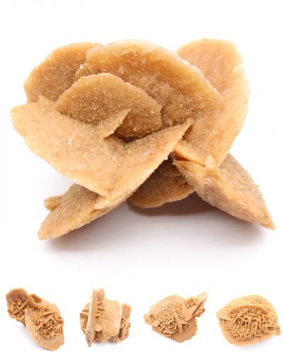 Wüstenrose Marokko collection Februar 2026 Wüstenrose Marokko collection Februar 2026