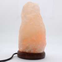 Salt Rock USB-Lampe