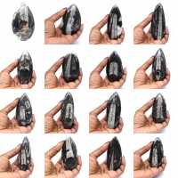 Orthoceras-Fossil aus Marokko Orthoceras-Fossil aus Marokko