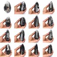 Orthoceras-Fossil aus Marokko