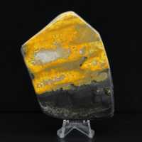 Bumblebee Polished Indonesia Kollektion