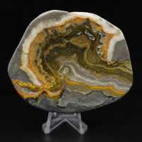 Polierte Jaspis-Hummel-Ornament, Indonesien, selten