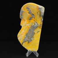 Großer polierter Jaspis-Hummel-Anhänger