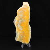 Polierte Scheibe indonesischen Hummeljaspis.