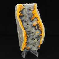 Robuste Scheibe indonesischen Hummeljaspis.