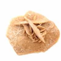 Mineralrosette von Marokko: Gipskristallisation